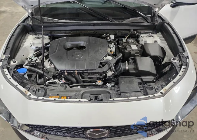 3MVDMBAM8SM766589: 81151465