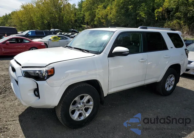 JTENU5JR8P6190377: 80554645