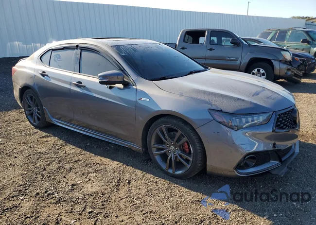 19UUB2F62JA008908: 71666655