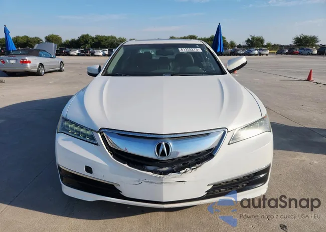 19UUB1F32GA008089: 81258275