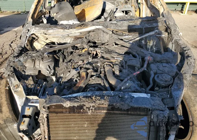 5UXFG8C5XCL590205: 83867405