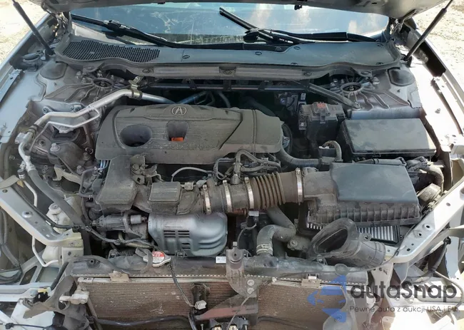 19UUB6F50MA003208: 71183255