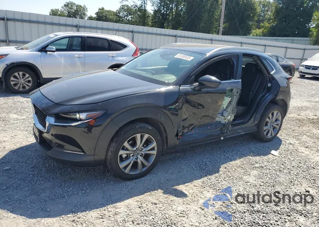 3MVDMBCM6PM523044: 81230135