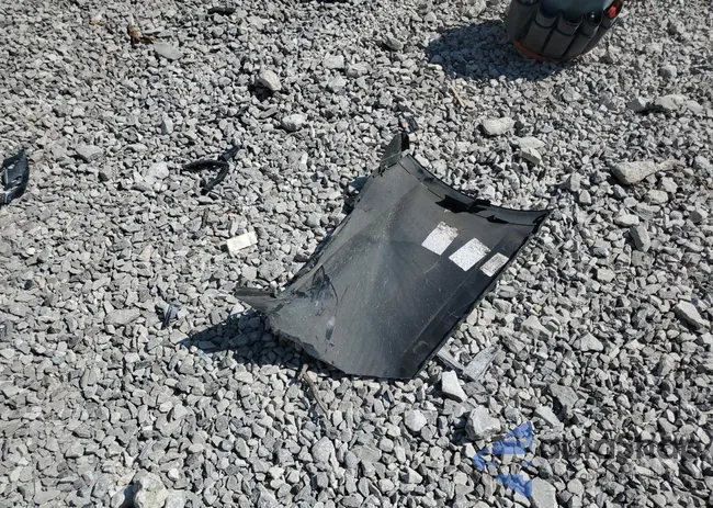 1G1ZB5ST8KF184991: 81201935