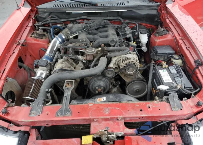 1FAFP40424F103820: 81731475