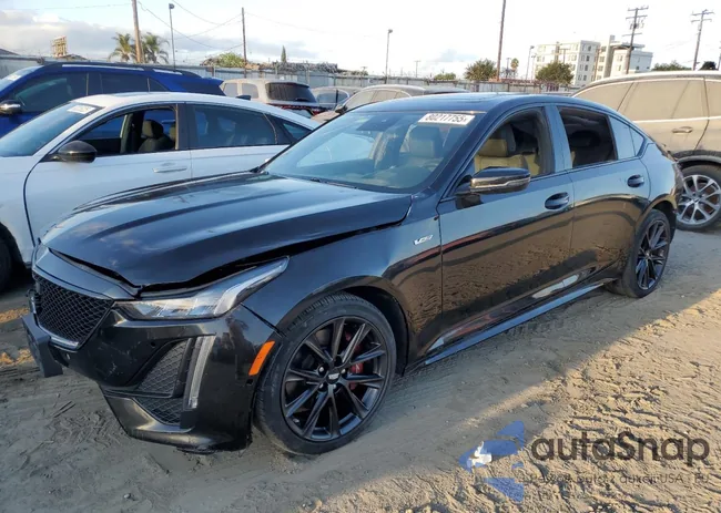 1G6DV5RW7P0138509: 80217755