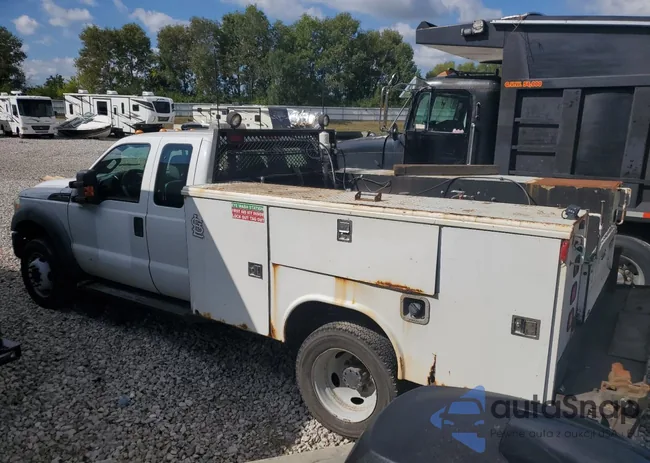 1FD9X4HY9BEB11054: 80098305