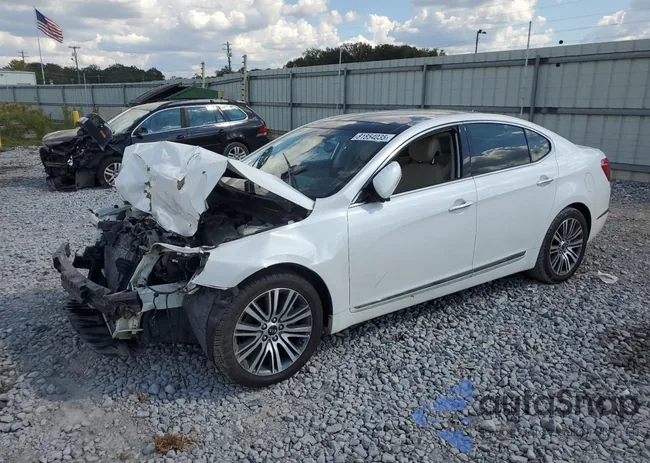 KNALN4D78F5187123: 81854035