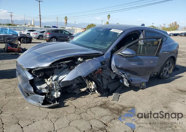 3FMTK1RM6MMA05835: 81852005