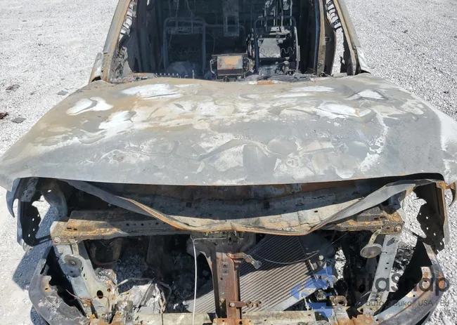 1N6BA1F44JN524534: 80144445