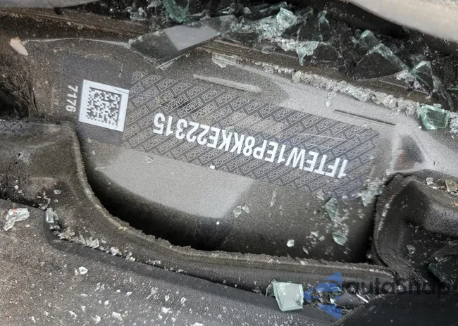 1FTEW1EP8KKE22315: 60372665