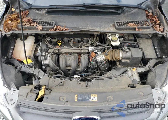 1FMCU0F70EUC49285: 81839975