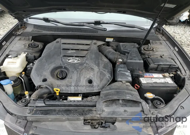 5NPEU46F49H534406: 81631705