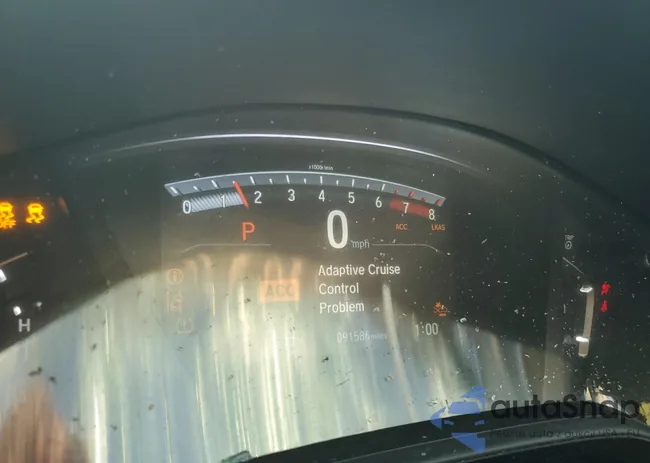 5J6RW1H2XML005822: 81038295