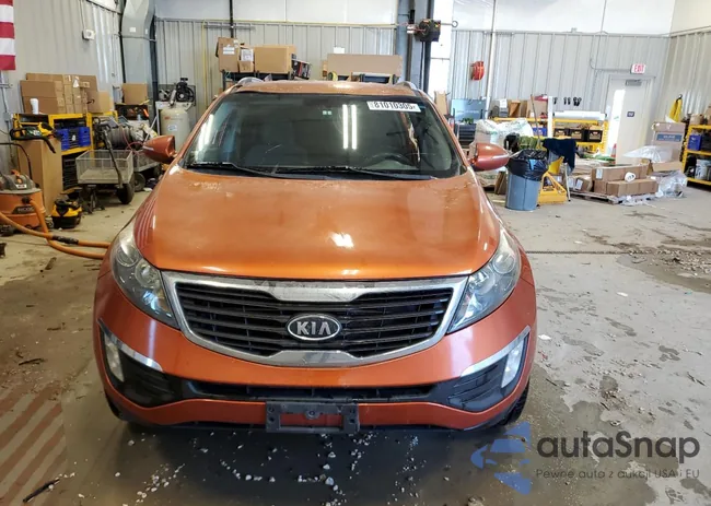 KNDPCCA29B7076561: 81010305