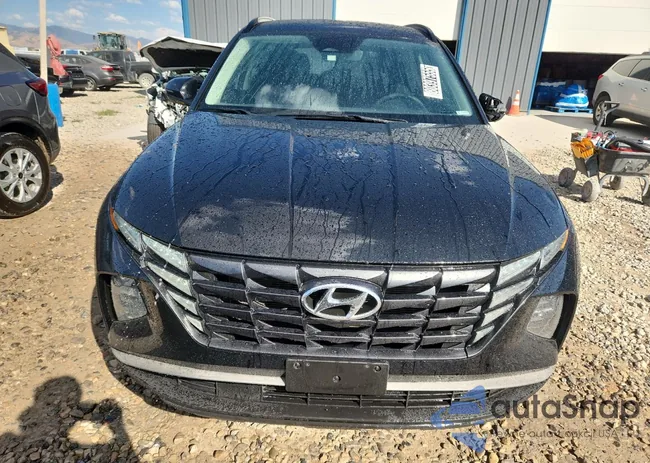 5NMJBCAE2NH011924: 80397555