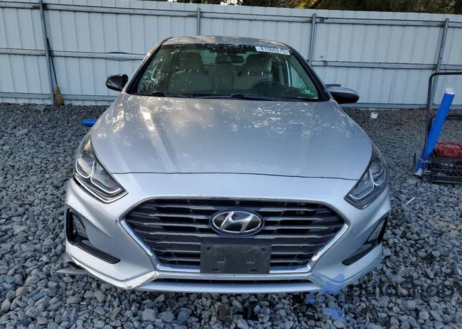 5NPE24AFXJH695098: 81500275