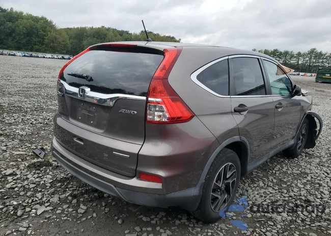 5J6RM4H4XGL073986: 81812185