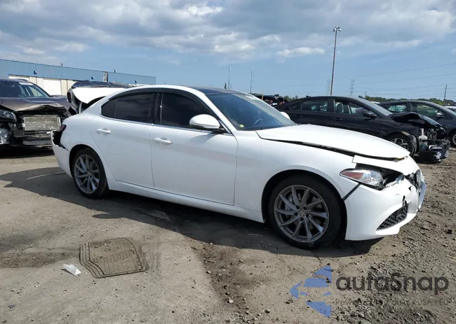 ZARFANAN4L7625212: 80734685