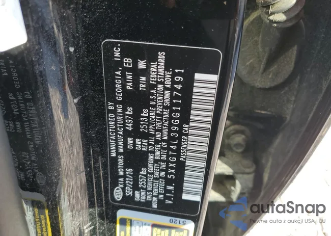 5XXGT4L39GG117491: 80448235