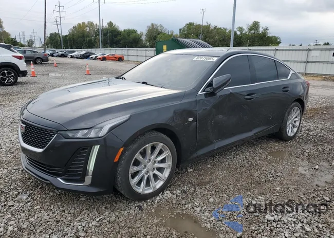 1G6DX5RK7N0118281: 82079065