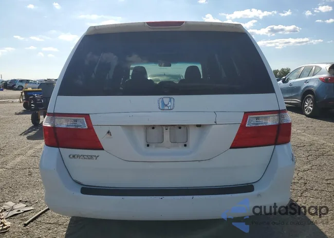 5FNRL38787B133120: 80091995