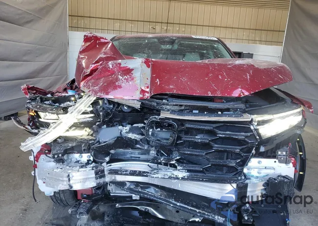 2HKRS4H7XTH419491: 81672505