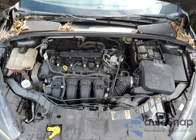 1FADP3K27GL332979: 80955145