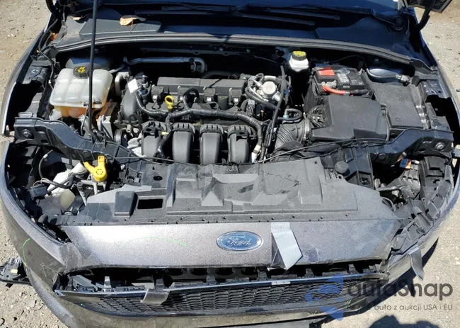 1FADP3F22JL319803: 71180245