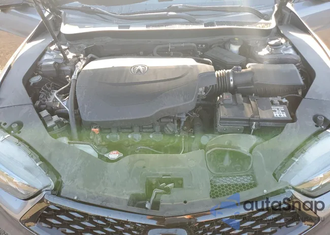 19UUB2F62JA008908: 71666655