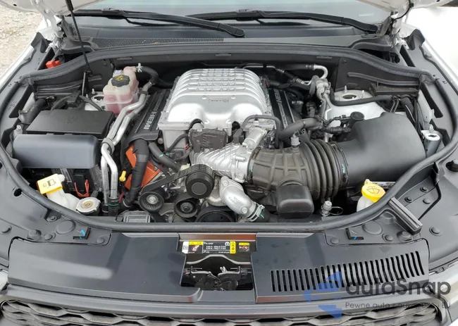 1C4SDJH93PC677753: 81233765