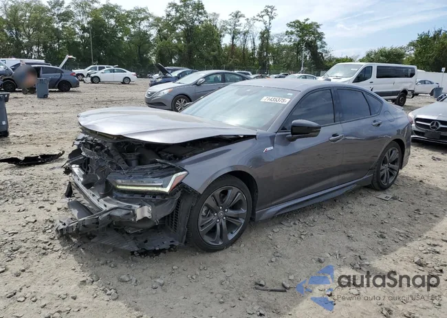 19UUB5F50MA010492: 71435375