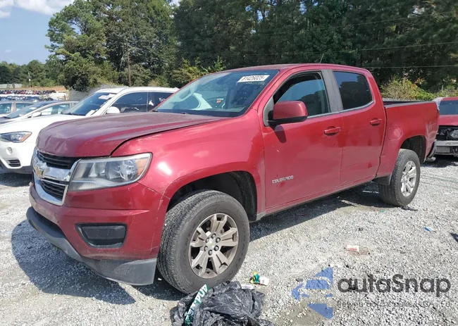 1GCGSCEN0K1137824: 81426025