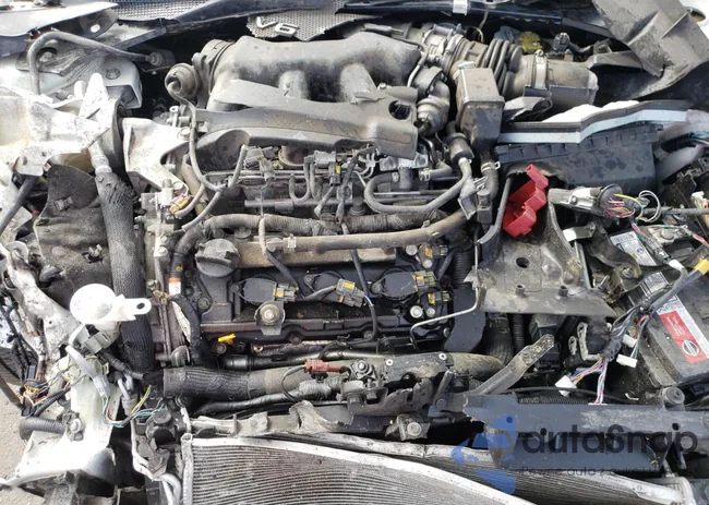 1N4AA6AV4KC362046: 81063195