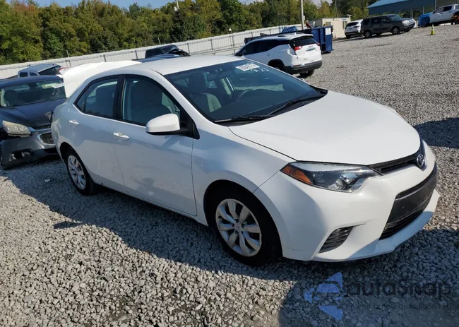 2T1BURHE4GC591354: 80849775