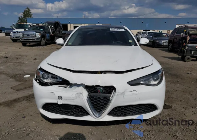 ZARFANAN4L7625212: 80734685