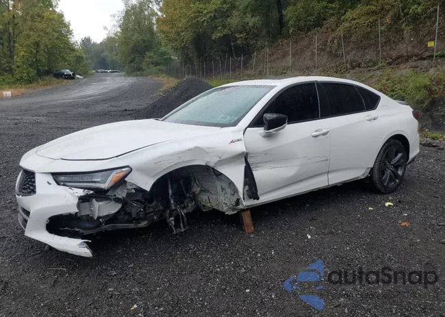 19UUB5F5XMA006062: 83993705