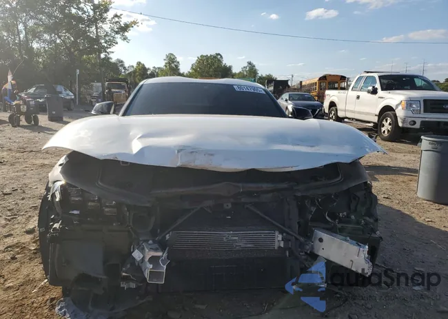 WZ1DB2C04MW038421: 80147905