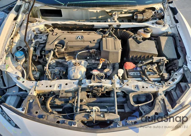 19UDE2F83MA010888: 80754965