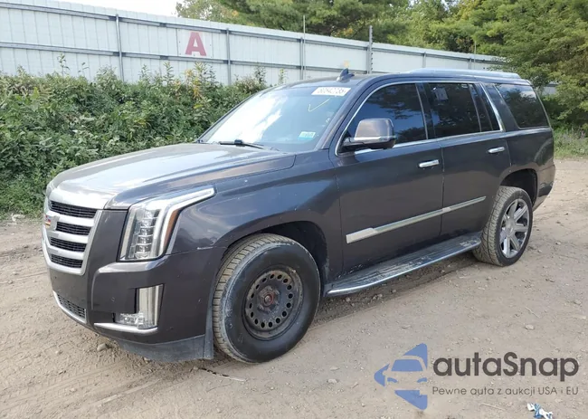 1GYS4BKJ5GR295126: 80542735