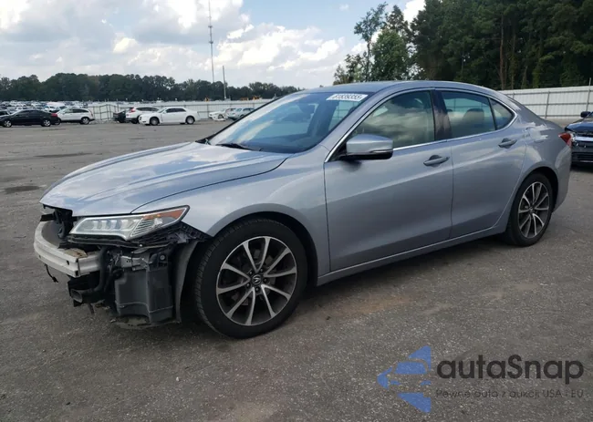 19UUB2F59FA008905: 81839355