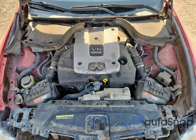 JN1CV6AP0BM507461: 81513515