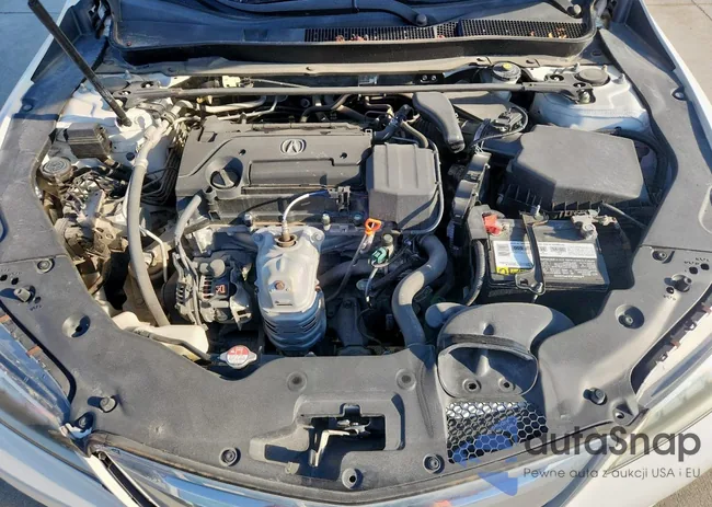 19UUB1F32GA008089: 81258275