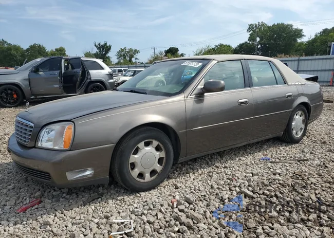 1G6KD54Y5YU293475: 81501775