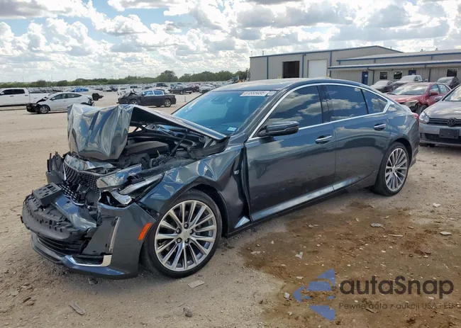 1G6DN5RK5N0135926: 81553455