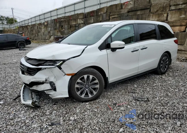 5FNRL6H74NB022224: 81717785