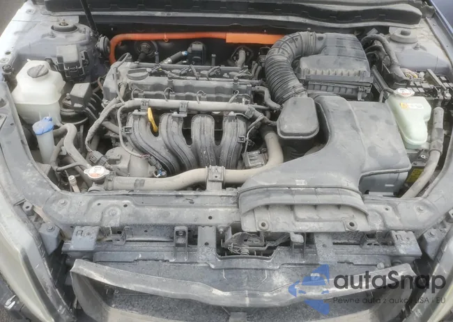 KNAGM4AD7B5003587: 71246575