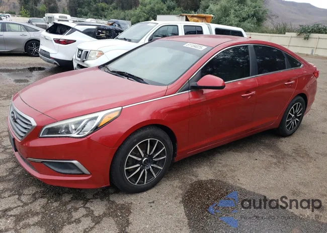 5NPE24AF9HH444406: 81134025