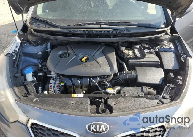 KNAFK5A86G5631299: 80584425