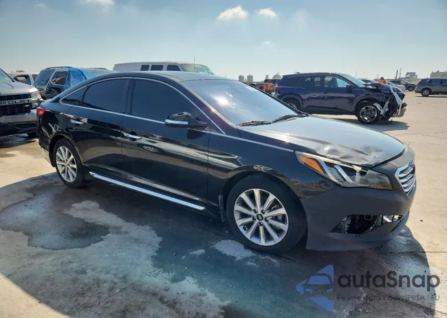 5NPE34AF7GH256737: 81099585